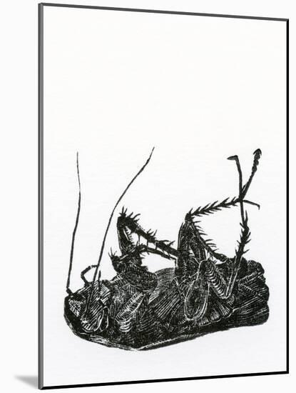 Dead Cockroach, 2014-Bella Larsson-Mounted Giclee Print