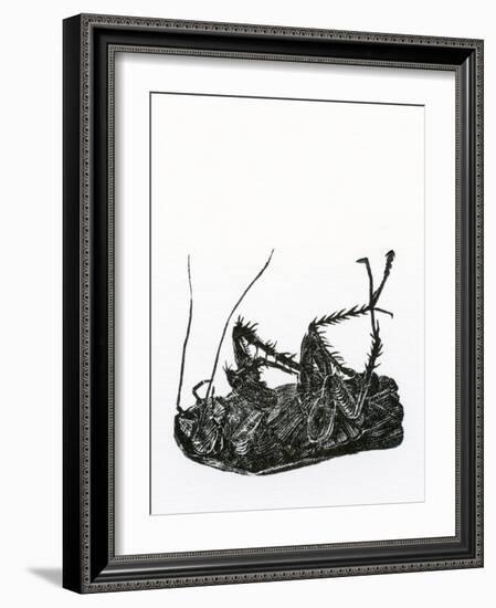 Dead Cockroach, 2014-Bella Larsson-Framed Giclee Print