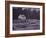 Dead Confederate Gun Crew after Battle of Antietam, 1862-Alexander Gardner-Framed Photographic Print