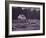 Dead Confederate Gun Crew after Battle of Antietam, 1862-Alexander Gardner-Framed Photographic Print