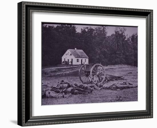 Dead Confederate Gun Crew after Battle of Antietam, 1862-Alexander Gardner-Framed Photographic Print