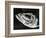 Dead Fish, Bones, Sand, c. 1965-Brett Weston-Framed Photographic Print