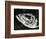 Dead Fish, Bones, Sand, c. 1965-Brett Weston-Framed Photographic Print