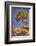 Dead Horse Point, Canyonlands National Park, Utah-John Ford-Framed Photographic Print