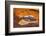 Dead Horse Point, Canyonlands National Park, Utah-John Ford-Framed Photographic Print