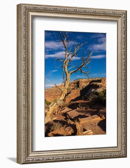 Dead Horse State Park. Utah, USA.-Tom Norring-Framed Photographic Print