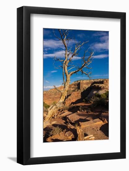 Dead Horse State Park. Utah, USA.-Tom Norring-Framed Photographic Print