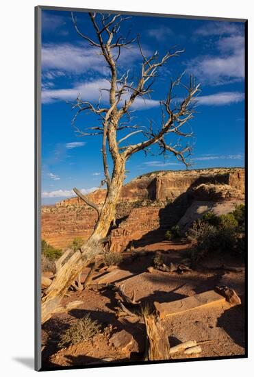 Dead Horse State Park. Utah, USA.-Tom Norring-Mounted Photographic Print