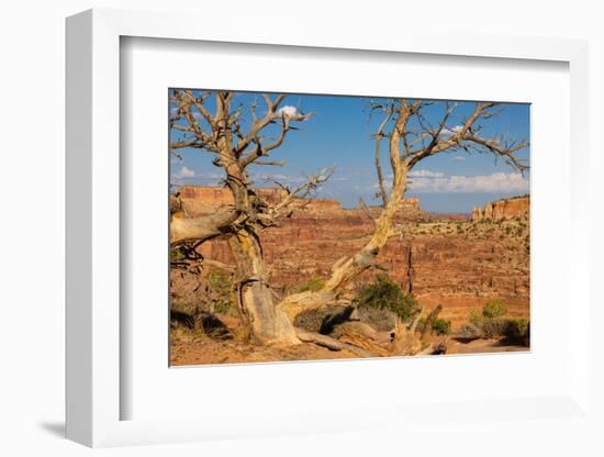 Dead Horse State Park. Utah, USA.-Tom Norring-Framed Photographic Print