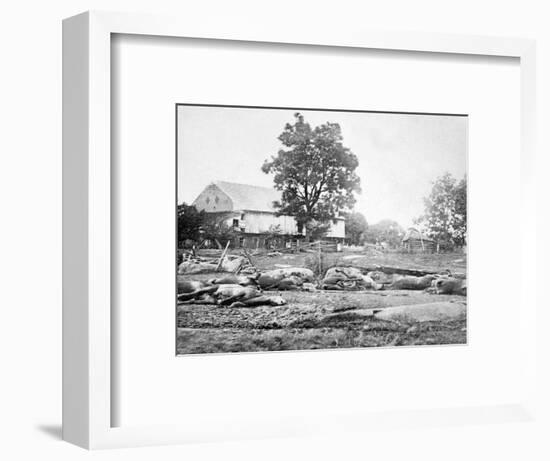 Dead Horses on the Battlefield, Civil War-Lantern Press-Framed Art Print