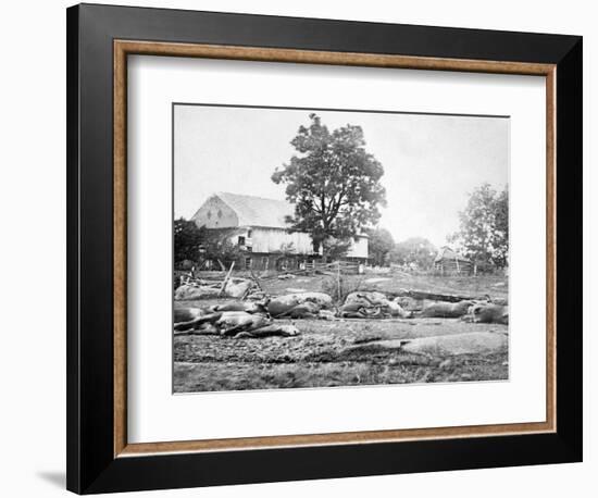 Dead Horses on the Battlefield, Civil War-Lantern Press-Framed Art Print