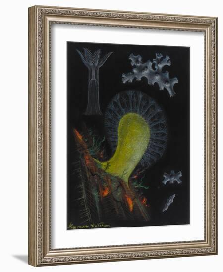 Dead Man's Fingers-Philip Henry Gosse-Framed Giclee Print