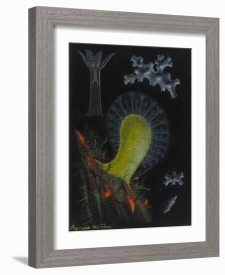 Dead Man's Fingers-Philip Henry Gosse-Framed Giclee Print