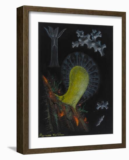 Dead Man's Fingers-Philip Henry Gosse-Framed Giclee Print