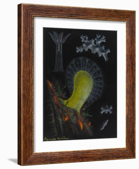 Dead Man's Fingers-Philip Henry Gosse-Framed Giclee Print