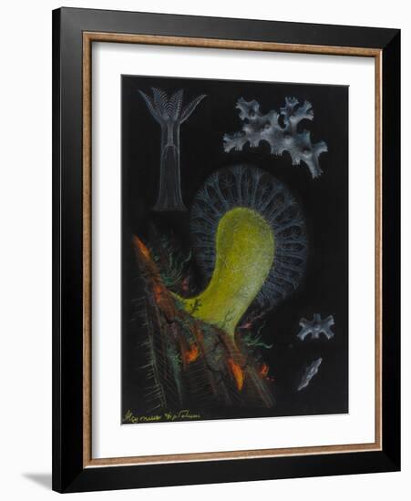 Dead Man's Fingers-Philip Henry Gosse-Framed Giclee Print