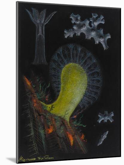 Dead Man's Fingers-Philip Henry Gosse-Mounted Giclee Print