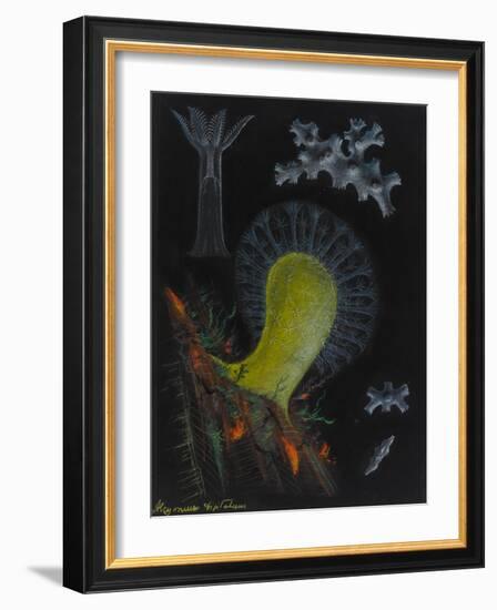 Dead Man's Fingers-Philip Henry Gosse-Framed Giclee Print