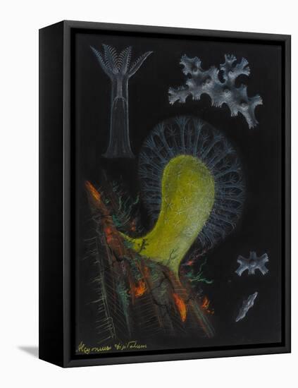 Dead Man's Fingers-Philip Henry Gosse-Framed Premier Image Canvas