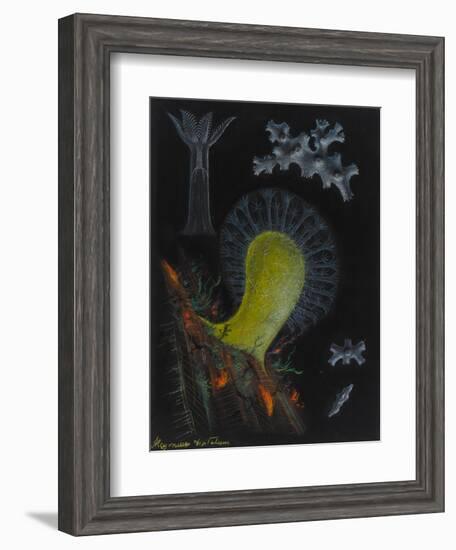 Dead Man's Fingers-Philip Henry Gosse-Framed Giclee Print