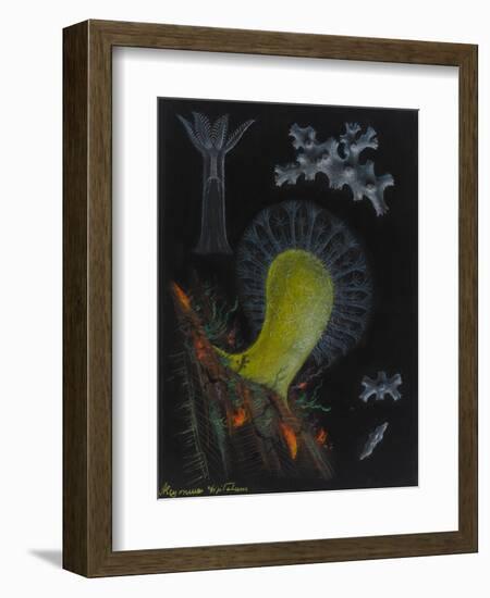 Dead Man's Fingers-Philip Henry Gosse-Framed Giclee Print