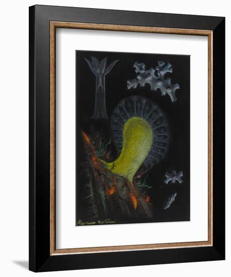 Dead Man's Fingers-Philip Henry Gosse-Framed Giclee Print