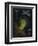 Dead Man's Fingers-Philip Henry Gosse-Framed Giclee Print