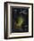 Dead Man's Fingers-Philip Henry Gosse-Framed Giclee Print