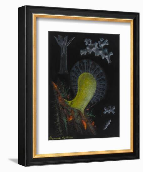 Dead Man's Fingers-Philip Henry Gosse-Framed Giclee Print