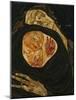 Dead Mother, Tote Mutter (I)-Egon Schiele-Mounted Giclee Print