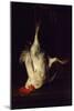 Dead Rooster-Gabriel Metsu-Mounted Giclee Print