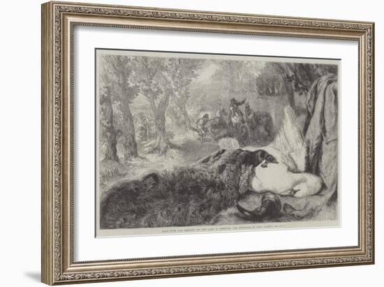 Dead Swan and Peacock-Sir John Gilbert-Framed Giclee Print