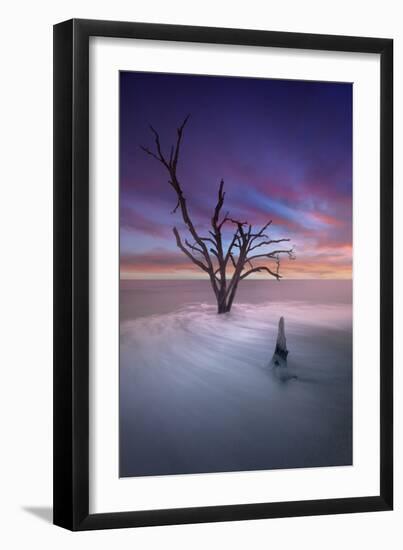 Dead Tree 2-Moises Levy-Framed Photographic Print