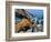 Dead tree, Bryce Canyon National Park, Utah, USA-Roland Gerth-Framed Photographic Print