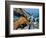 Dead tree, Bryce Canyon National Park, Utah, USA-Roland Gerth-Framed Photographic Print