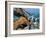 Dead tree, Bryce Canyon National Park, Utah, USA-Roland Gerth-Framed Photographic Print
