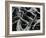 Dead Tree, c. 1970-Brett Weston-Framed Photographic Print