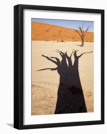 Dead Tree Casts Shadow on Dry Lakebed, , Sossusvlei, Namibia, Africa-Wendy Kaveney-Framed Photographic Print