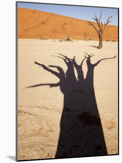Dead Tree Casts Shadow on Dry Lakebed, , Sossusvlei, Namibia, Africa-Wendy Kaveney-Mounted Photographic Print
