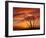 Dead Tree on Lighthouse Beach at Sunrise, Sanibel Island, Florida, USA-Jerry & Marcy Monkman-Framed Photographic Print