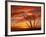 Dead Tree on Lighthouse Beach at Sunrise, Sanibel Island, Florida, USA-Jerry & Marcy Monkman-Framed Photographic Print