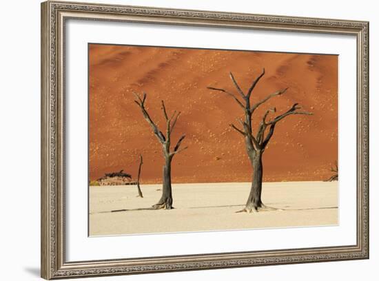 Dead Tree, Sand Dunes, Deadvlei, Namib-Naukluft National Park, Namibia-David Wall-Framed Photographic Print