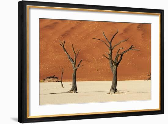 Dead Tree, Sand Dunes, Deadvlei, Namib-Naukluft National Park, Namibia-David Wall-Framed Photographic Print