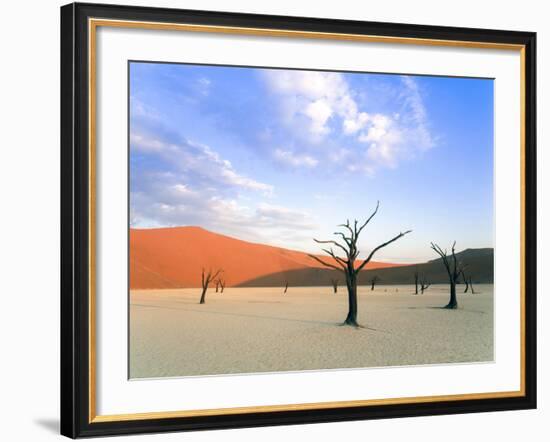 Dead Trees and Orange Sand Dunes-Gavin Hellier-Framed Photographic Print