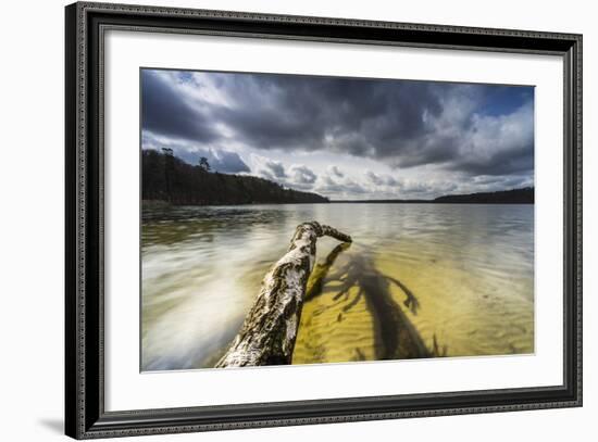 Dead Trees, Brandenburg, Germany-Falk Hermann-Framed Photographic Print