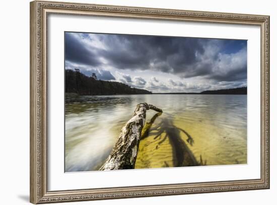 Dead Trees, Brandenburg, Germany-Falk Hermann-Framed Photographic Print