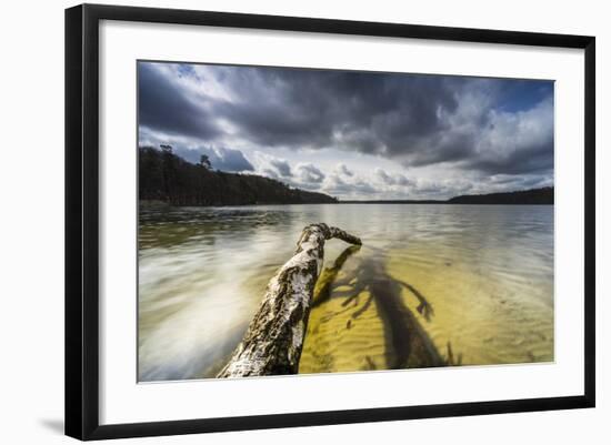 Dead Trees, Brandenburg, Germany-Falk Hermann-Framed Photographic Print