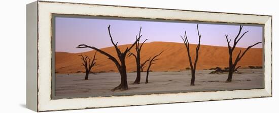 Dead Trees in a Desert at Sunrise, Dead Vlei, Sossusvlei, Namib-Naukluft National Park, Namibia-null-Framed Premier Image Canvas