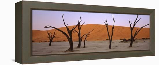 Dead Trees in a Desert at Sunrise, Dead Vlei, Sossusvlei, Namib-Naukluft National Park, Namibia-null-Framed Premier Image Canvas