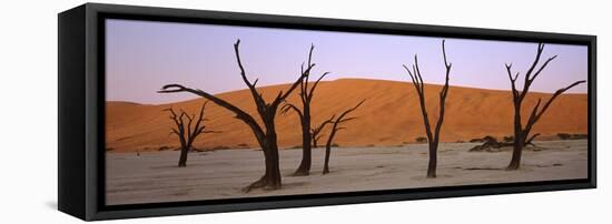 Dead Trees in a Desert at Sunrise, Dead Vlei, Sossusvlei, Namib-Naukluft National Park, Namibia-null-Framed Premier Image Canvas